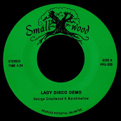 Lady Disco Demo / Roller Coaster Demo (New 7")