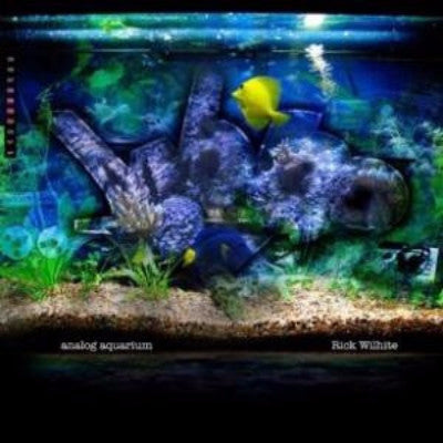 Analog Aquarium (New 2LP)