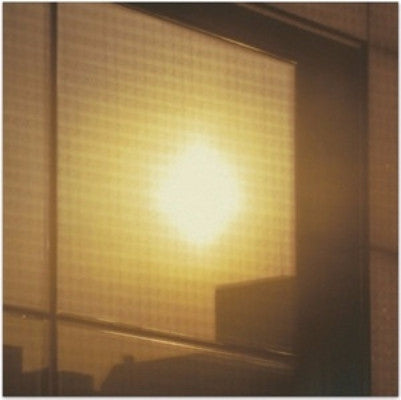 Protector's Tea (New LP)