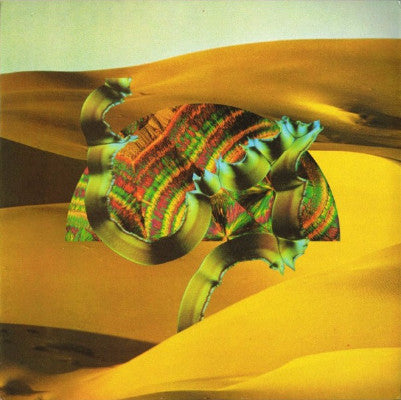 Django Django (New 2LP + Download)