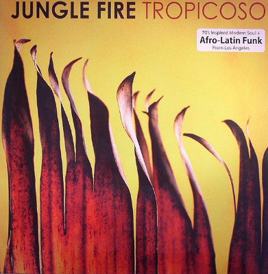 Tropicoso (New LP)