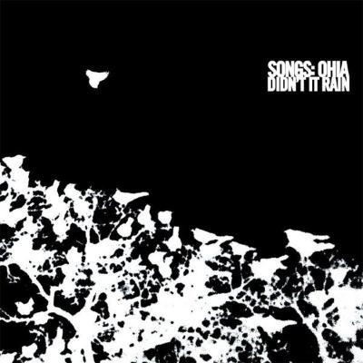 Didn't It Rain (New 2LP)