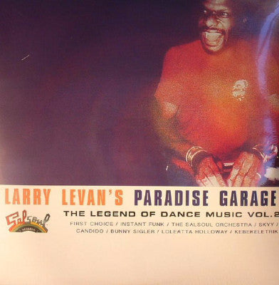 ラリー・レヴァン - パラダイス・ガラージ VOL.2 サルソウル Larry