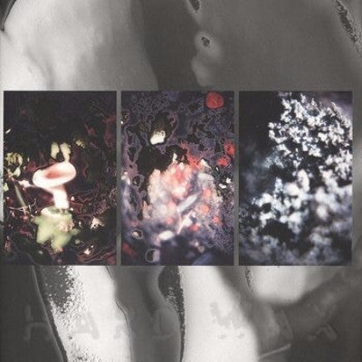 Three Version (New 12")
