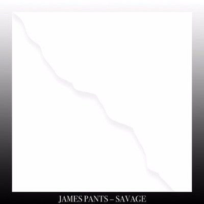 Savage (New LP + Download)