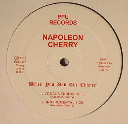 When You Had The Chance (New 12")