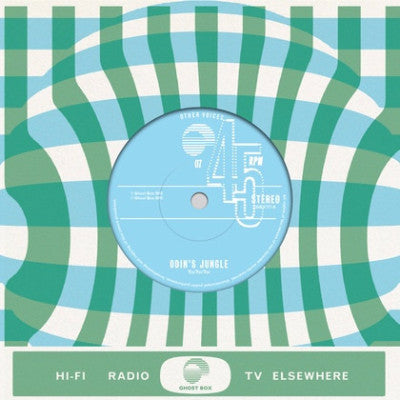 Other Voices 07 (New 7")