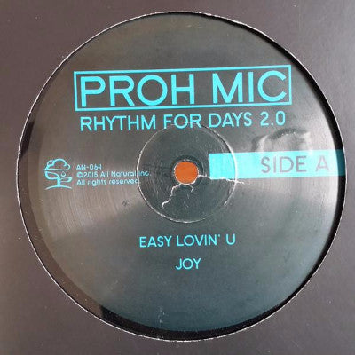 Rhythm for Days 2.0 (New 12")