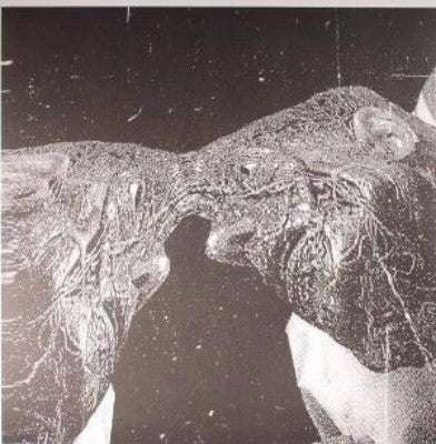 Memory Care Unit (New LP)