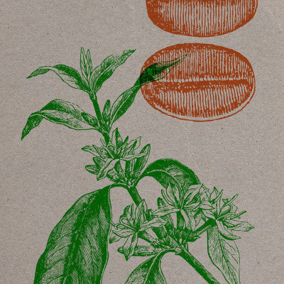 Bugiganga Tropical Vol.1 (New 7")