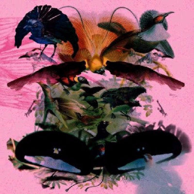 Rojus Designed To Dance (New 2 x 12")