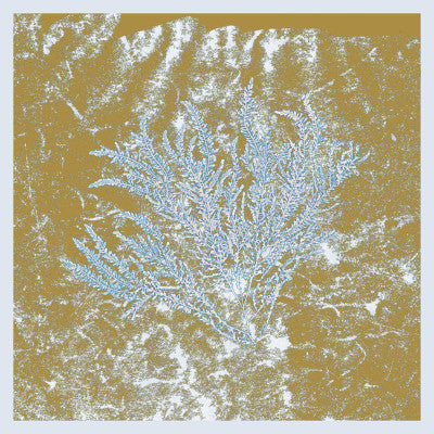 For Those Of You Who Have Never (And Also Those Who Have) (New 2LP)