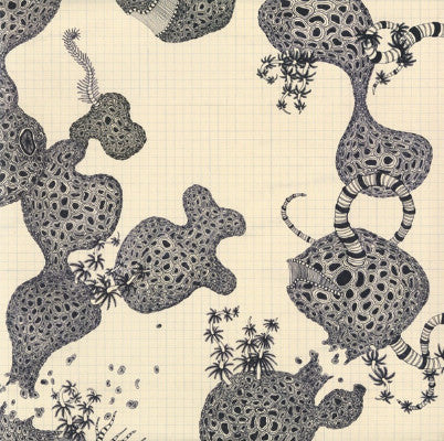 Wincing The Night Away (New LP)