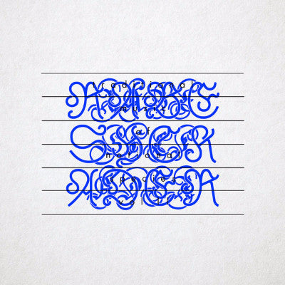 Traditional Music of Notional Species Vol. II (New LP)