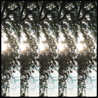 Dialectic of Ignorance (New LP)