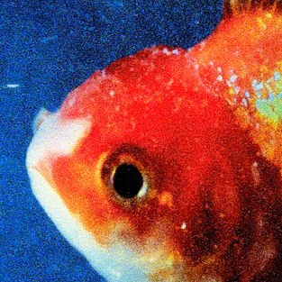 Big Fish Theory (New 2LP)