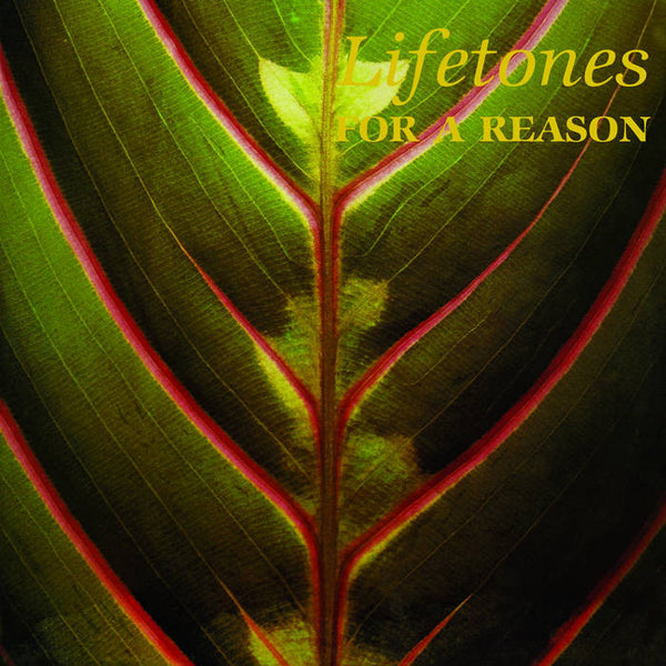 For A Reason (New LP)