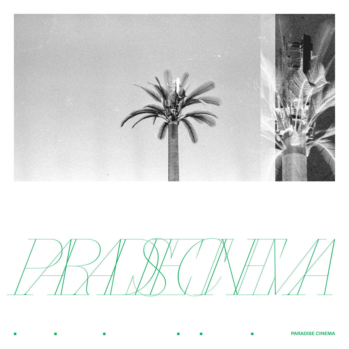 Paradise Cinema (New LP)
