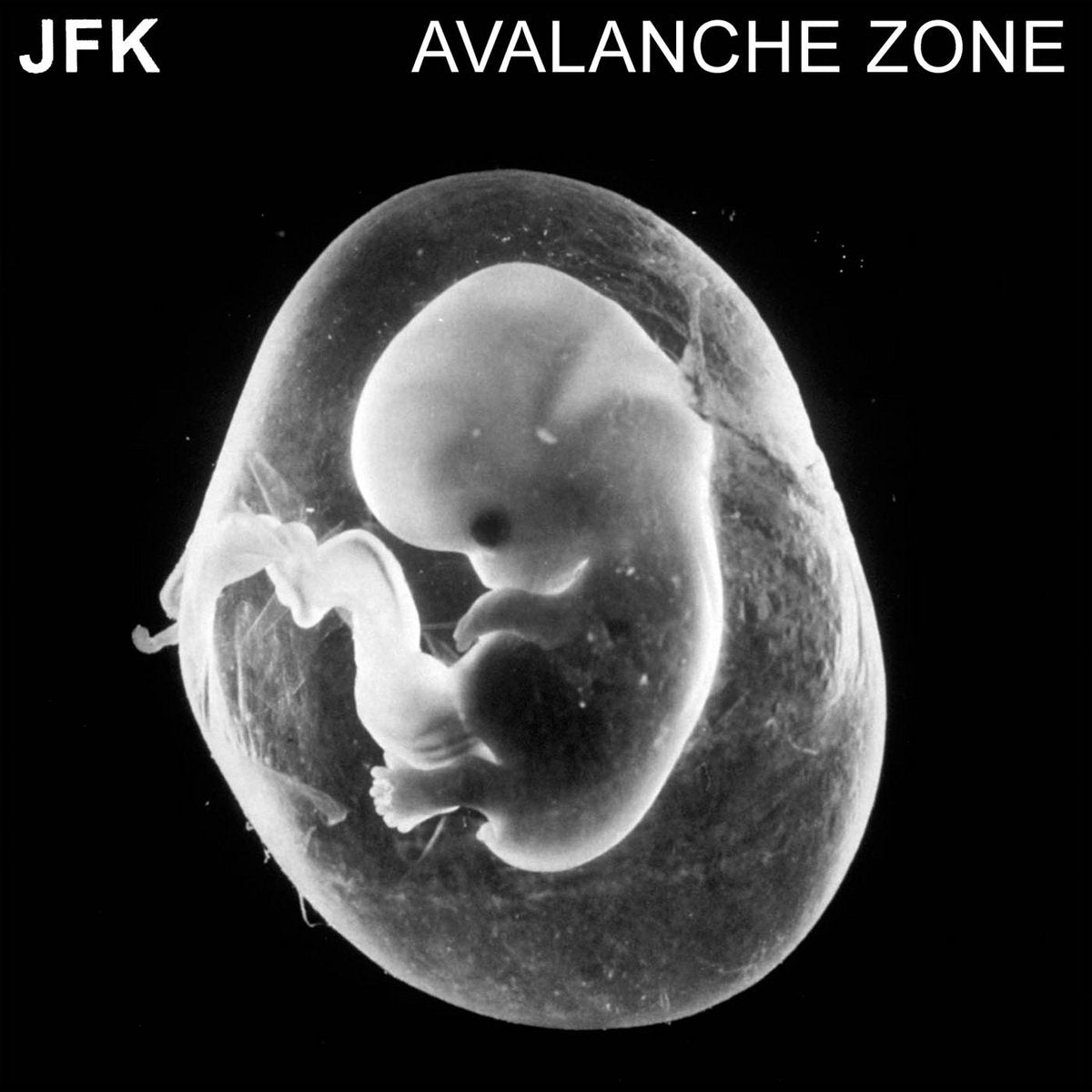 Avalanche Zone (New LP)
