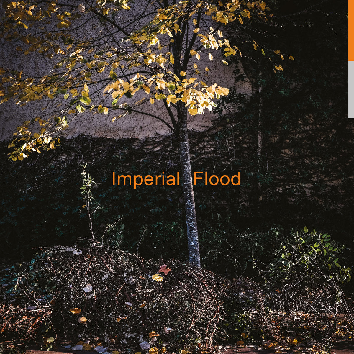 Imperial Flood (New LP)