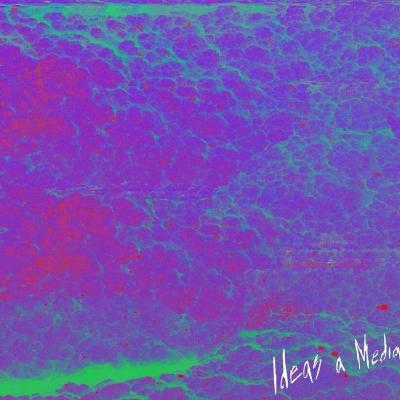Ideas A Medias (New LP)