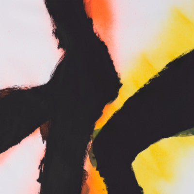 Alien Flower Sutra (New LP)