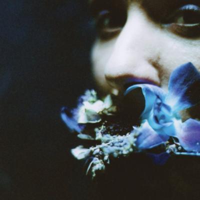 Reaching For Indigo (New LP)