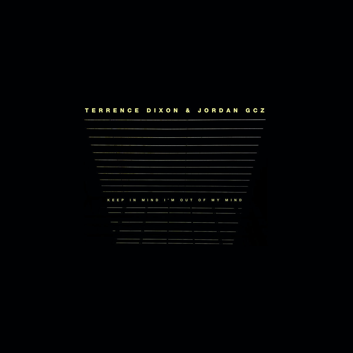 Keep In Mind I'm Out Of My Mind (New 2LP)