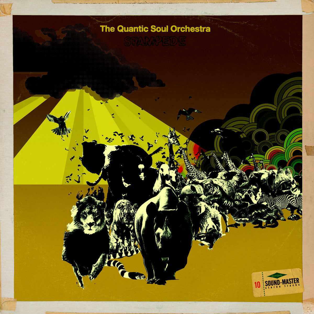 Stampede (New LP)