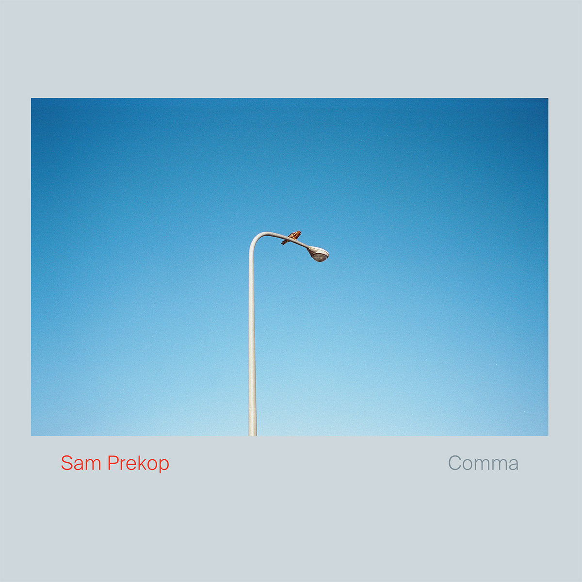 Comma (New LP)