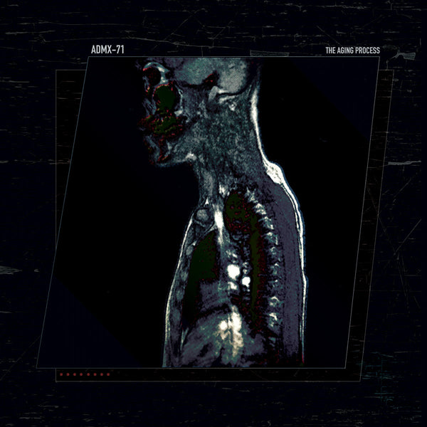 The Aging Process (New 2LP)