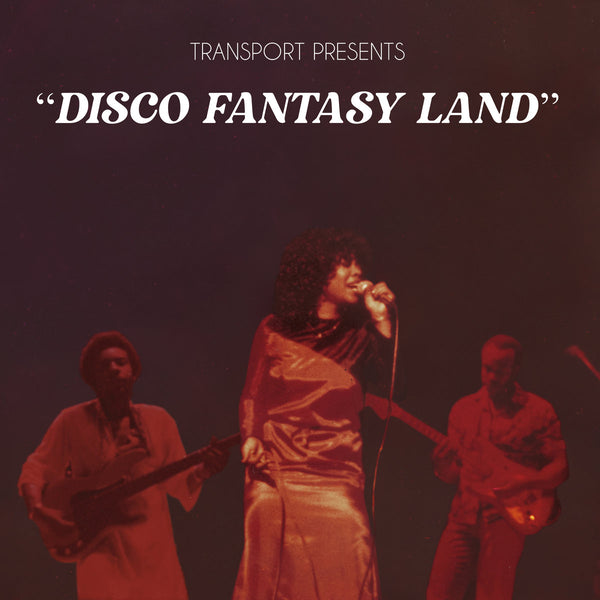 Disco Fantasy Land (New LP)