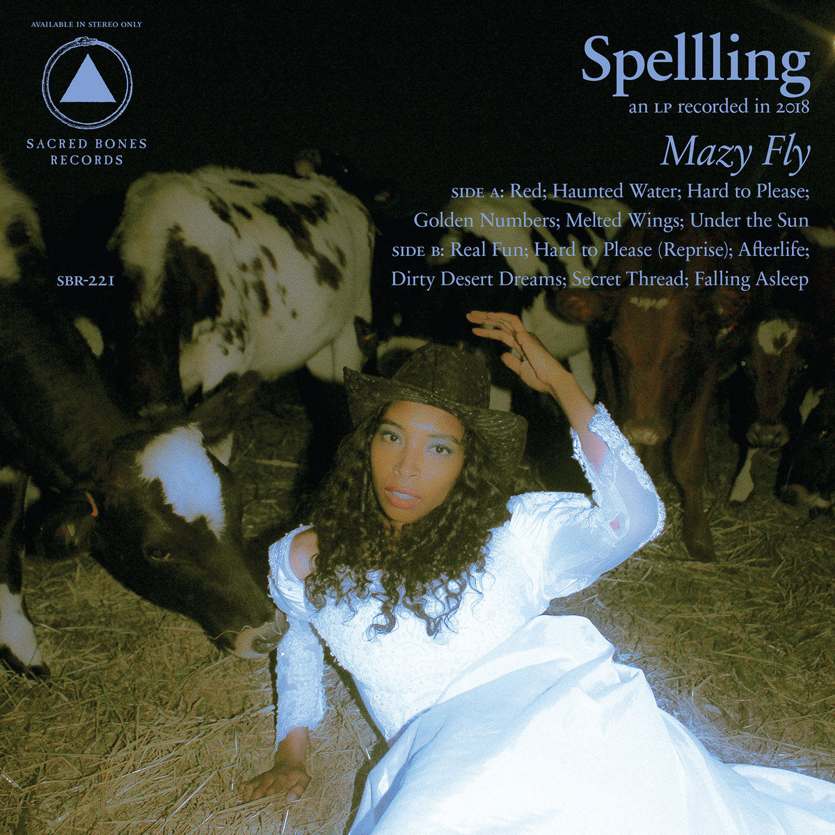 Mazy Fly (New LP)