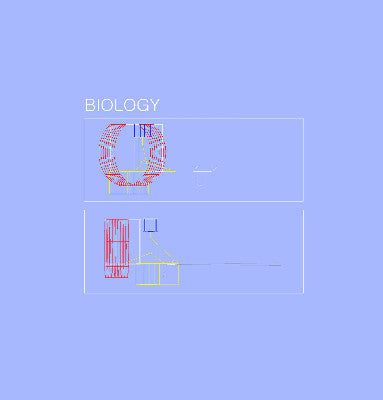 Biology (New 7")