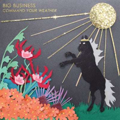 Command Your Weather (New LP)