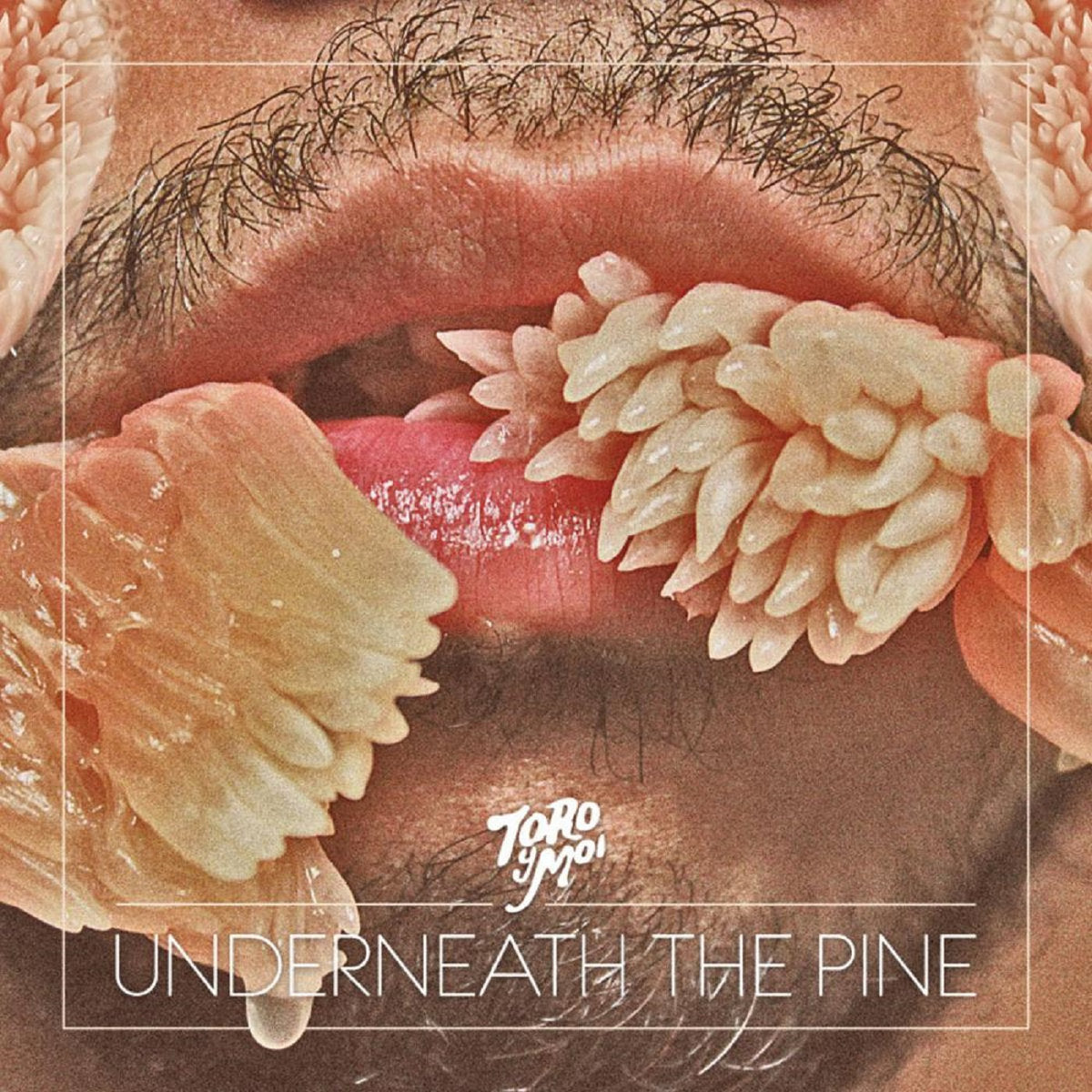 Underneath The Pine (New LP)