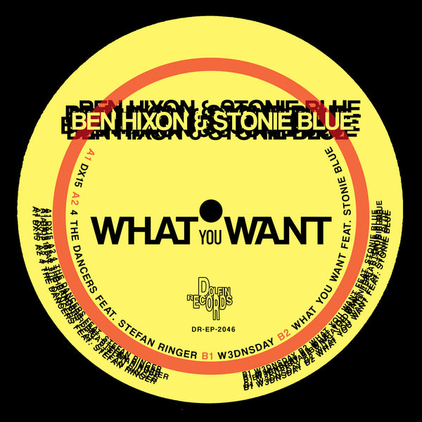 WHAT YOU WANT (New 12")