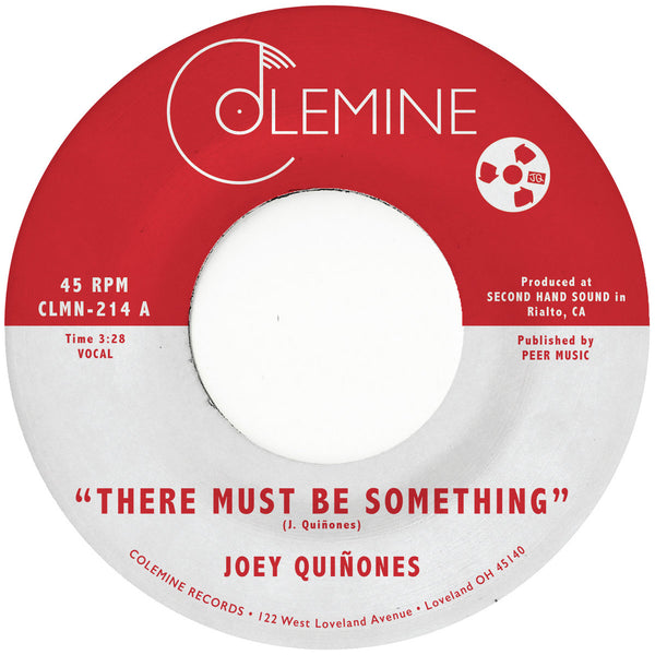 There Must Be Something / Love Me Like You Used To (New 7")