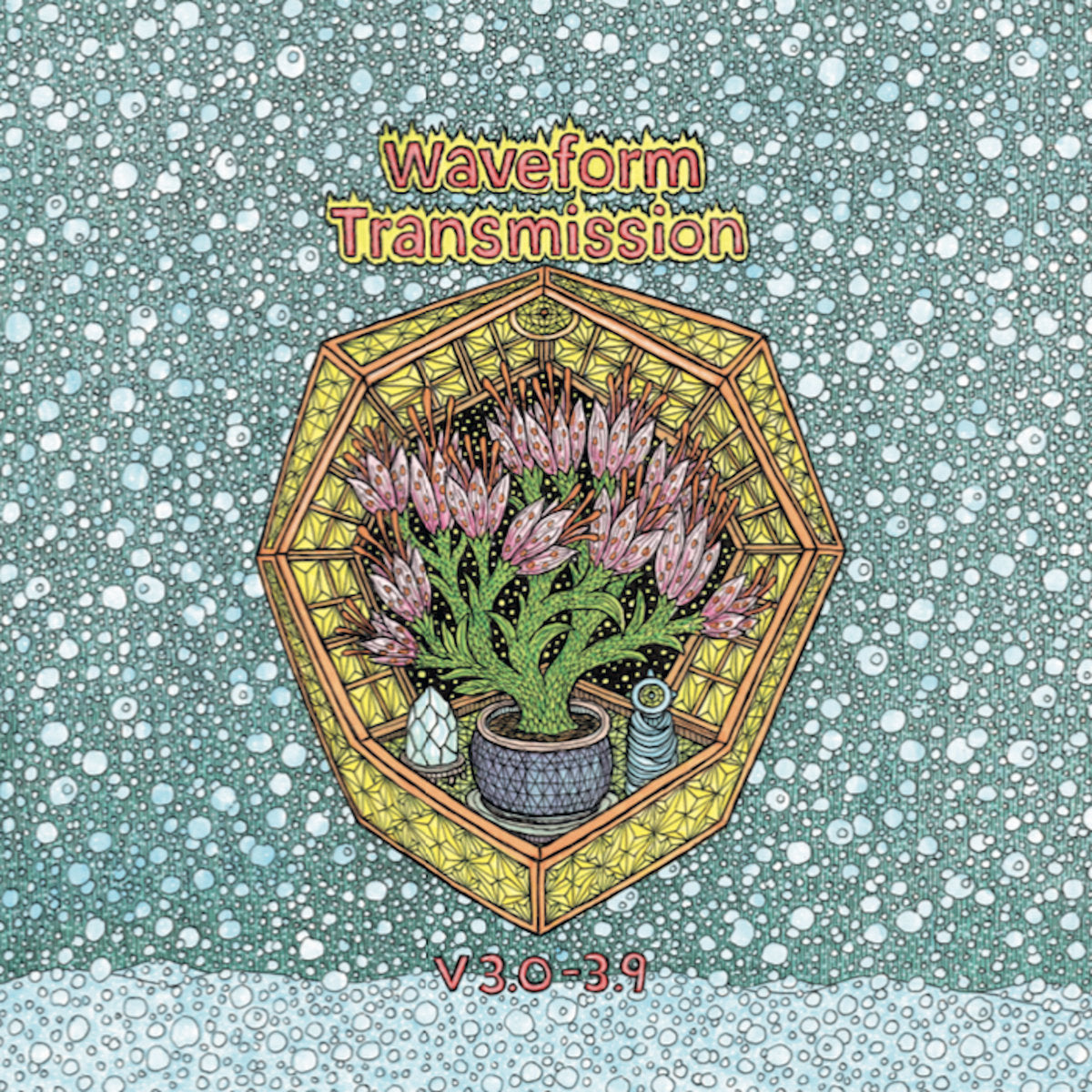 V 3.0-3.9 (New 2LP)