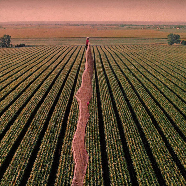 Everybody Split (New LP)