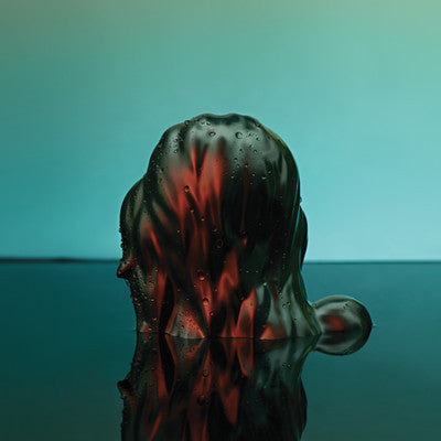 Family Vacation (New 2LP)