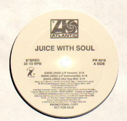 Gang Lingo (Used 12")