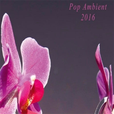 Pop Ambient 2016 (New LP)