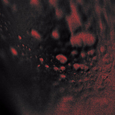 Ruckup (New 12")