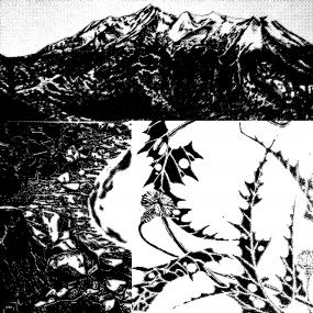 Iwa Gaaden (New 12")