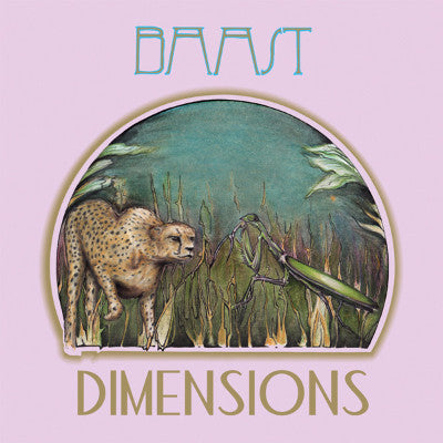 Dimensions (New LP)